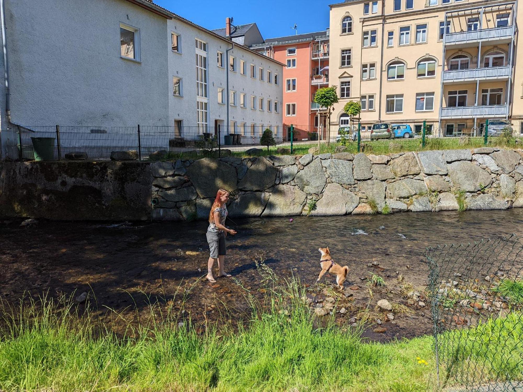 Hw3 - Urlaubsmagie - Helle, Grosse Wohnung Mit Pool 赛博尼茨 外观 照片