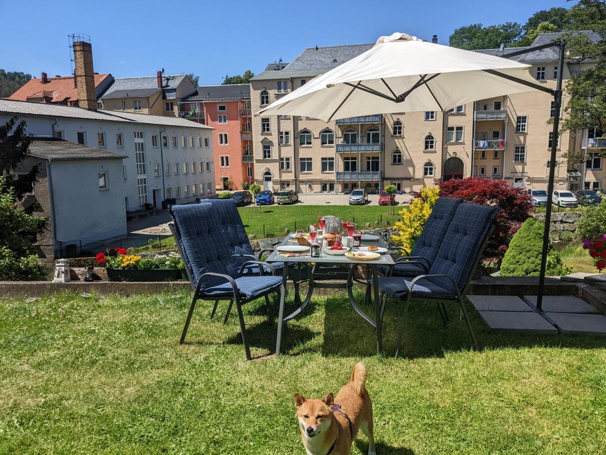 Hw3 - Urlaubsmagie - Helle, Grosse Wohnung Mit Pool 赛博尼茨 外观 照片