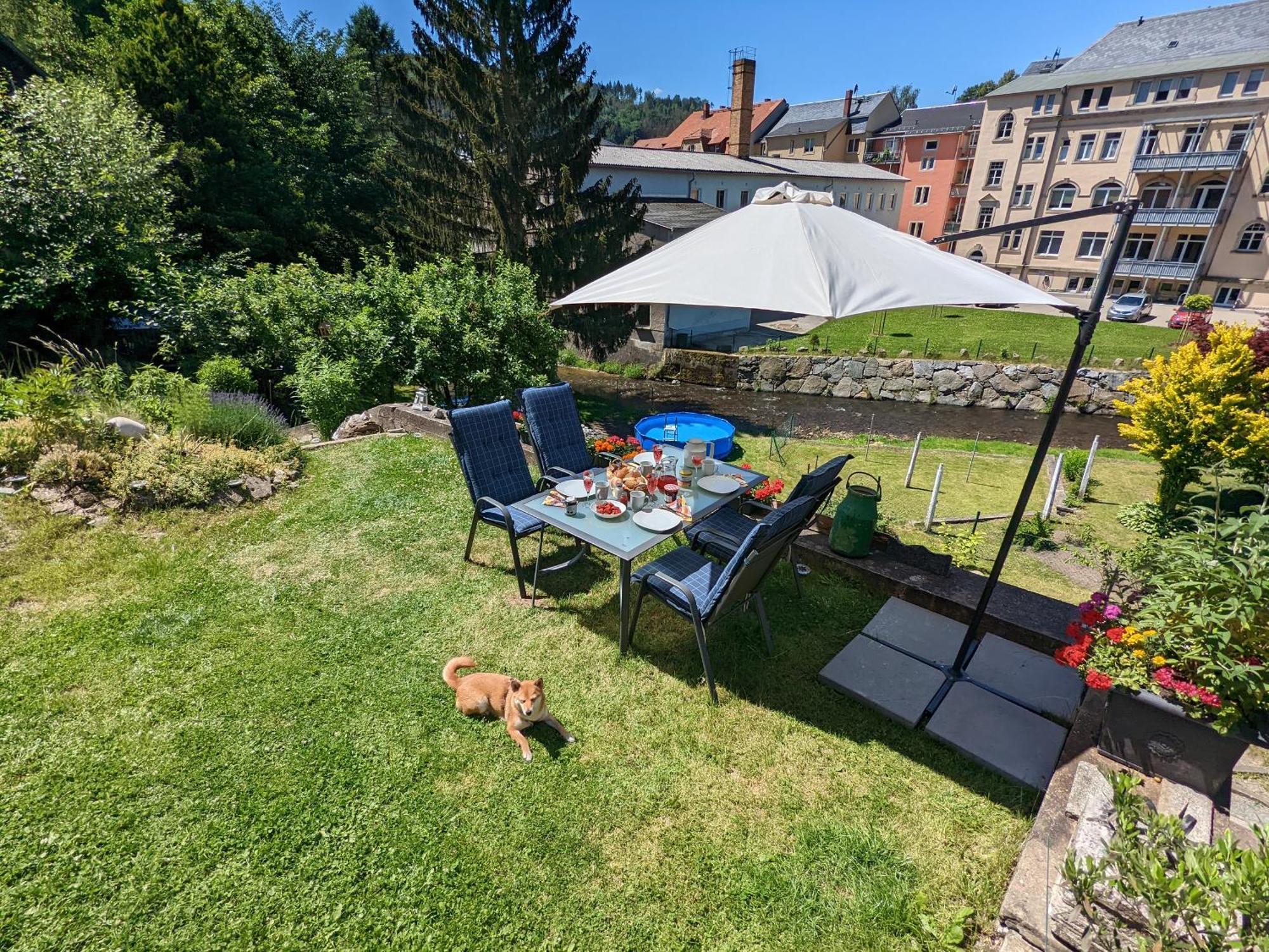 Hw3 - Urlaubsmagie - Helle, Grosse Wohnung Mit Pool 赛博尼茨 外观 照片