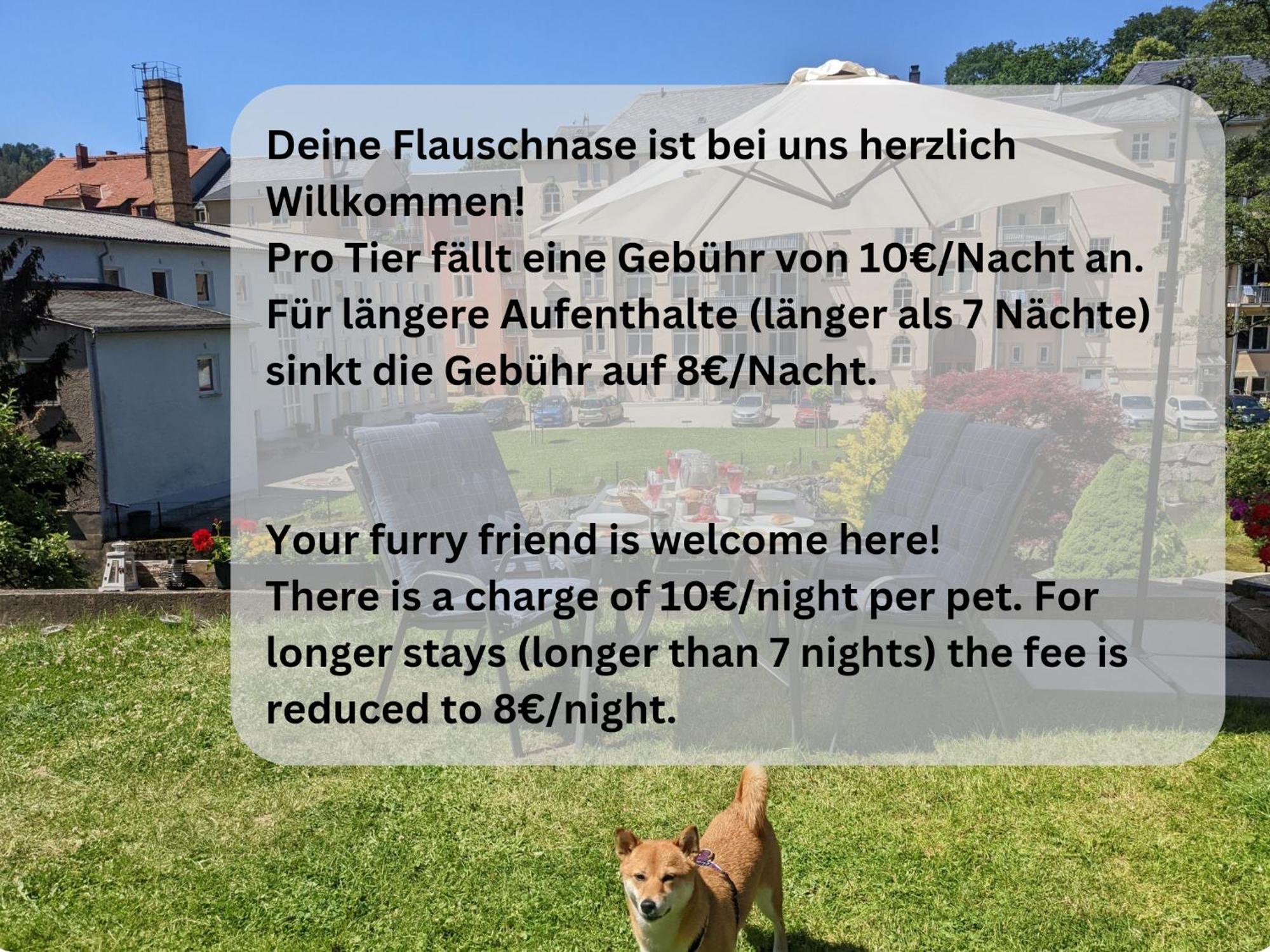 Hw3 - Urlaubsmagie - Helle, Grosse Wohnung Mit Pool 赛博尼茨 外观 照片